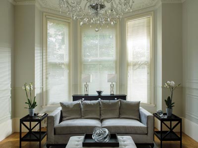 Venetian Wndow Blind